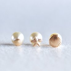 画像1: 半額SALE【在庫僅少】14kgfピアス　スタッド　スターフィッシュ＆シェル　ピアス　アクリルパールキャッチ  (1)